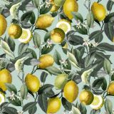 Lemon-Tree-22