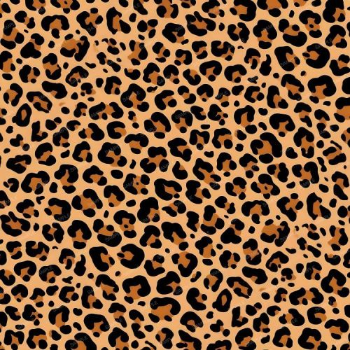 Leopard Print 42