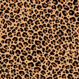 Leopard-Print-42