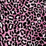Leopard-Rainbow-20