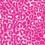 Leopard-Rainbow-21