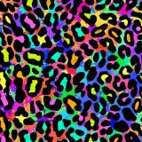 Leopard-Rainbow-22