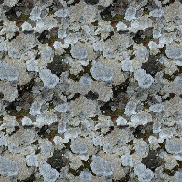 Lichen 25 Camouflage