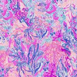 Lilly-Aquadesic