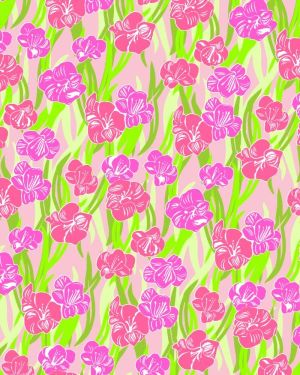 Lilly Gladiolas