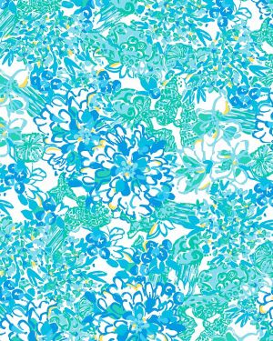Lilly In a Pinch