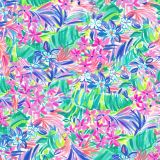 Lilly-It-Was-All-A-Dream