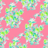 Lilly-Pink-Limes