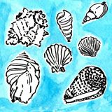 Lilly-Shell-Yeah.jpg