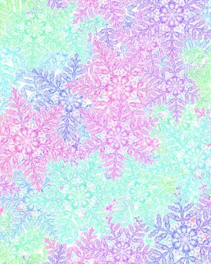 Lilly Spring Snow