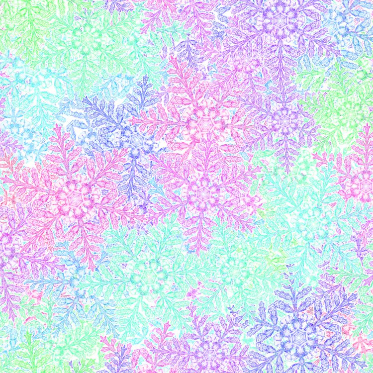 Lilly Spring Snow