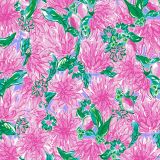 Lilly-Try-Your-Zest-1