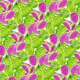 Lilly-Watermelon-23.jpg