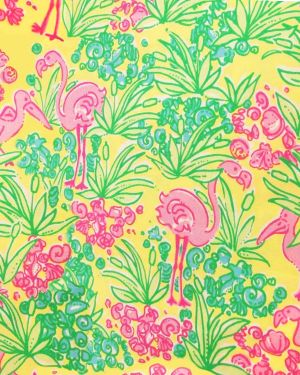Lilly Yellow Water Birds