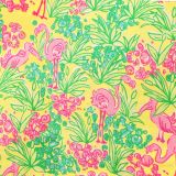 Lilly-Yellow-Water-Birds