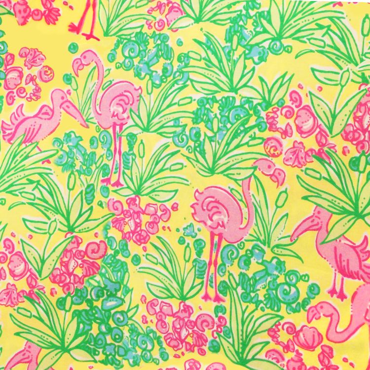 Lilly Yellow Water Birds