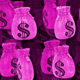 Little-Miss-Money-Bags-22