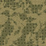 Lizard-Camo-22-thumb