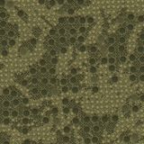 Lizard-Camo-23-thumb