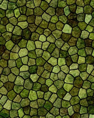 Lizard Scales