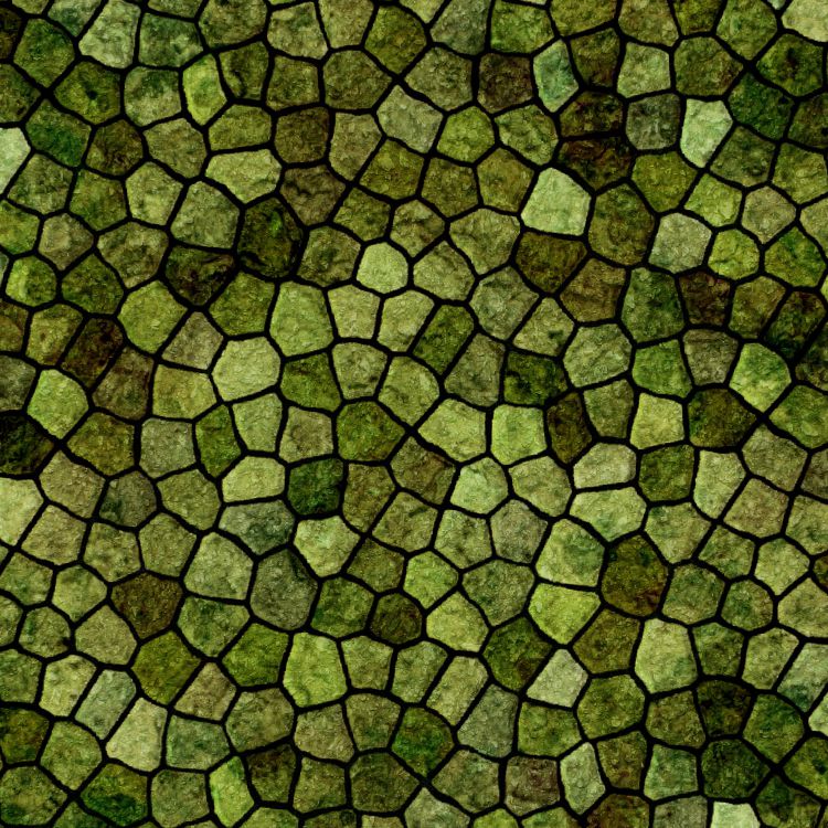Lizard Scales