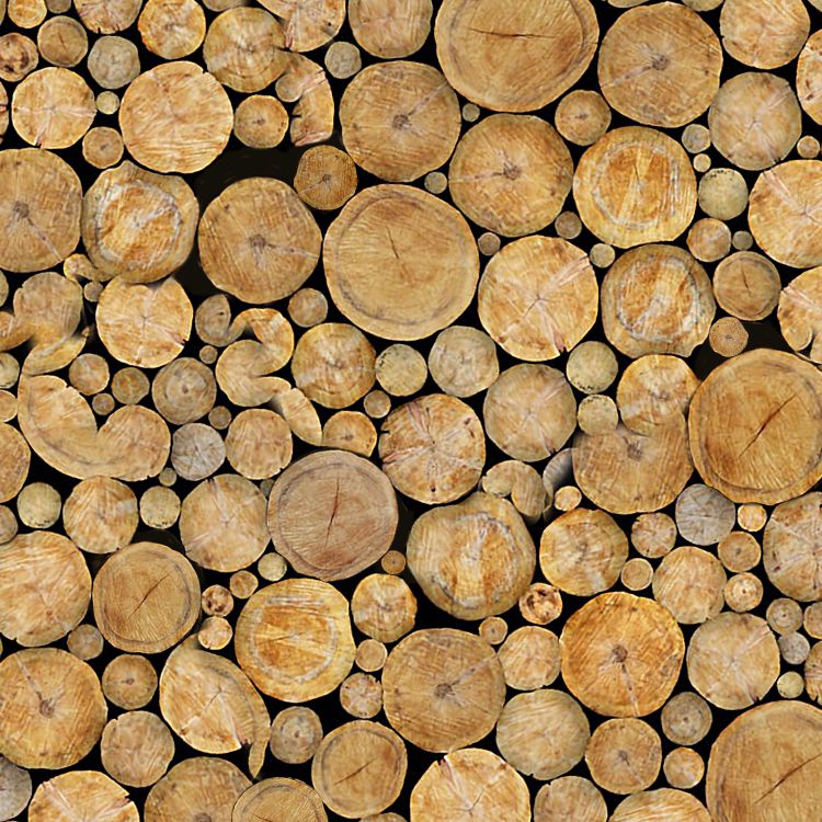Log Pile 22