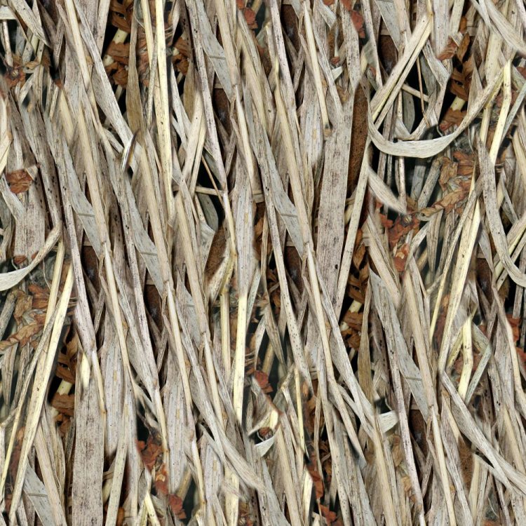 Long Marsh Camouflage