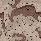 Louis-Vuitton-Desert-Storm-Camo-thumb.jpg