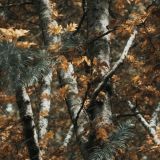 Louisiana-Camo-44