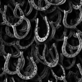 Lucky-Horseshoes-20