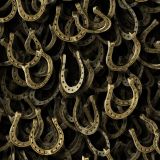 Lucky-Horseshoes-21