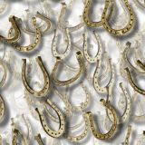 Lucky-Horseshoes-22