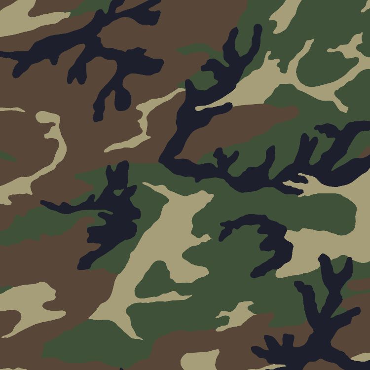 M81 Woodland Camouflage