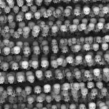 Macabre-Skulls-22-1