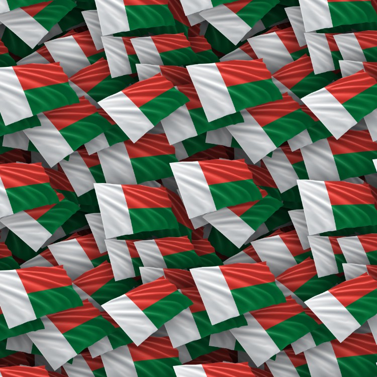 Madagascar Flag