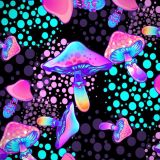 Magic-Mushroom-23-1