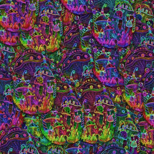 Magic Mushrooms 32