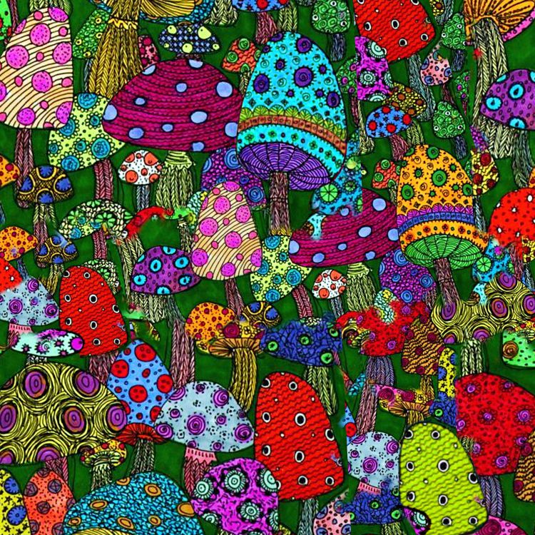 Magic Mushrooms 24