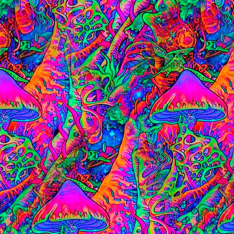 Magic Mushrooms
