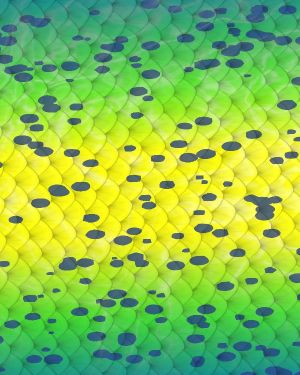 Mahi Skin Scales