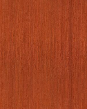 Mahogany Straight Grain