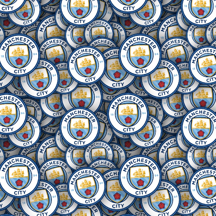 Manchester City FC 22