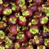 Mangosteen-Fruit