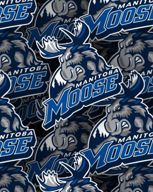 Manitoba Moose 22