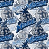 Manitoba-Moose-23.jpg