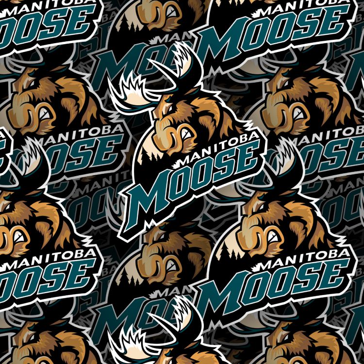 Manitoba Moose 24