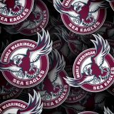 Manly-Sea-Eagles