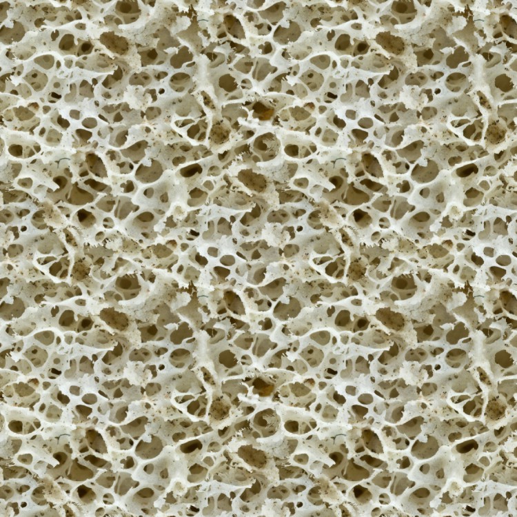 Marrow Under the Microscope 23