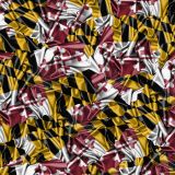 Maryland-Satin-Flag-32