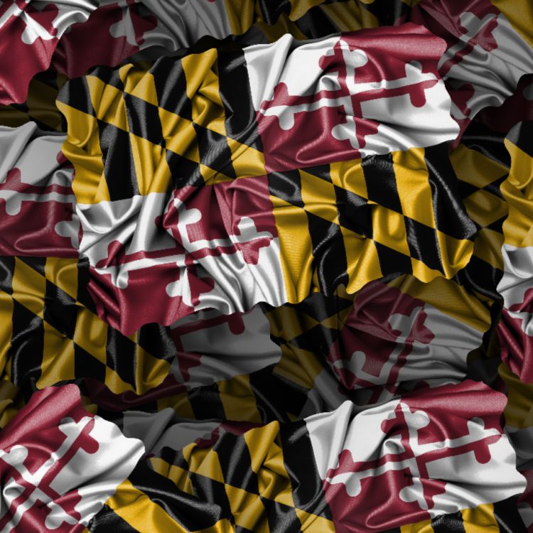 Maryland Satin Flag 34